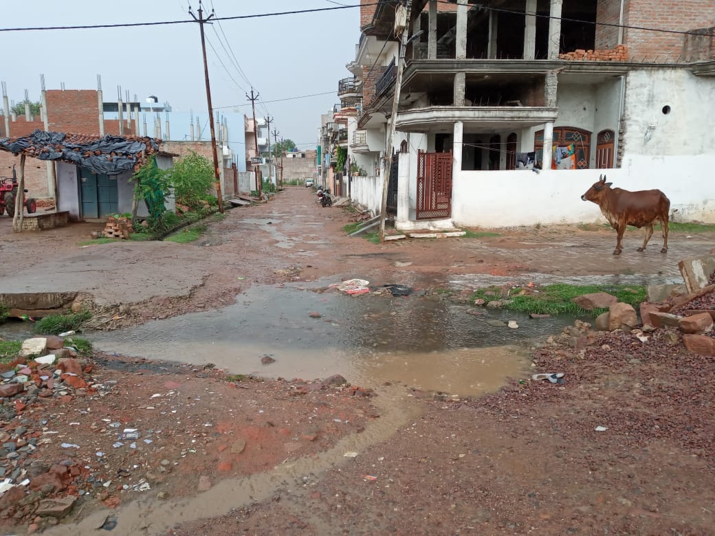 दिआ कॉलोनी में बीच सड़क पर गड्ढे में जलभराव दिआ कॉलोनी में बीच सड़क पर गड्ढे में जलभराव