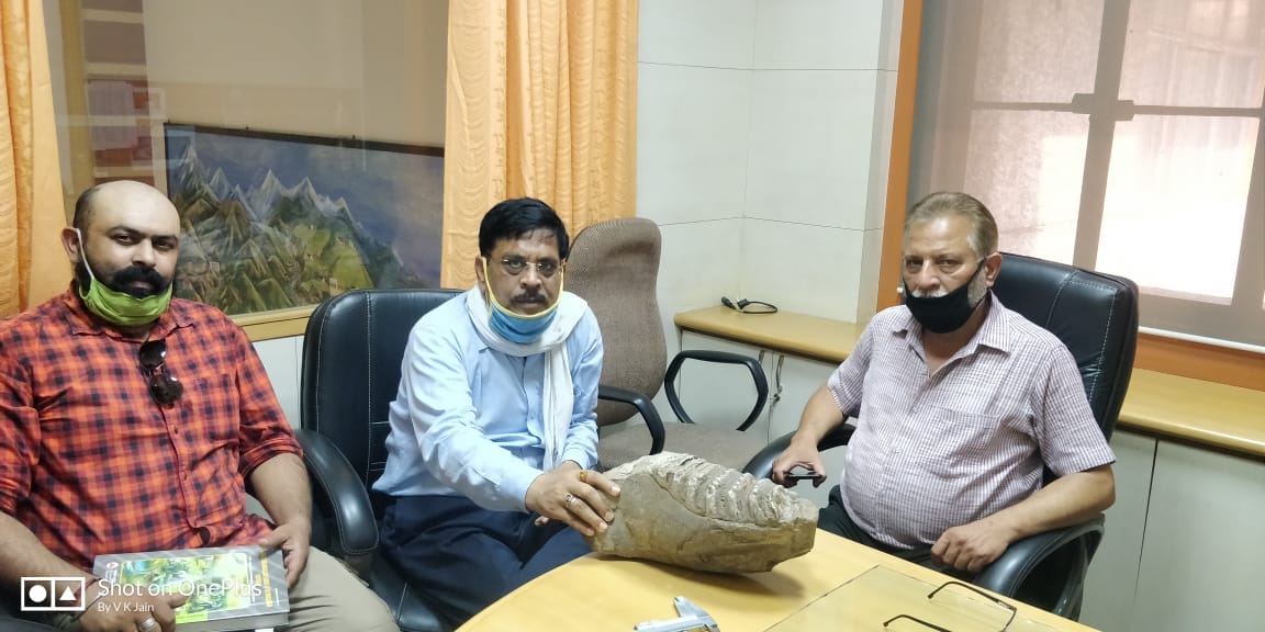 50 लाख साल पुराने हाथी दांत के साथ वन विभाग के अधिकारी। 50 लाख साल पुराने हाथी दांत के साथ वन विभाग के अधिकारी।