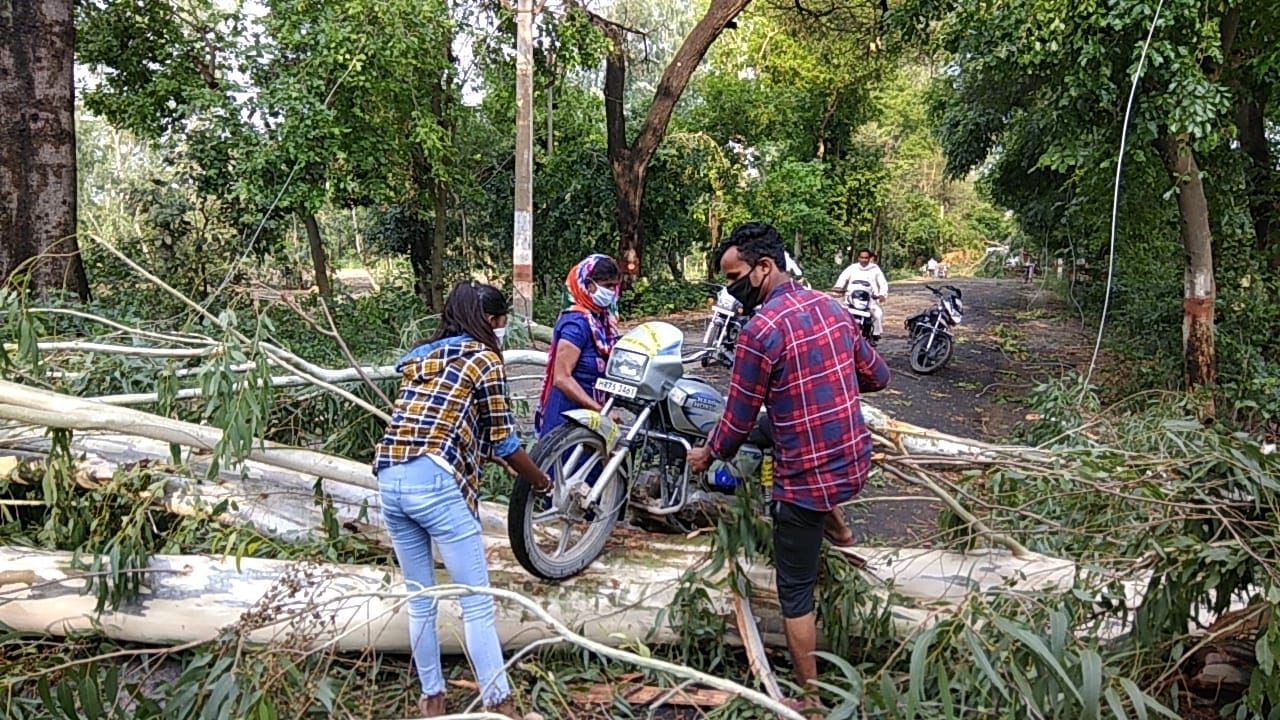 सहारनपुर के बेहट में बंद हुए शाकंभरी मार्ग पर गिरे पेड़ के ऊपर से बाइक निकालते लोग सहारनपुर के बेहट में बंद हुए शाकंभरी मार्ग पर गिरे पेड़ के ऊपर से बाइक निकालते लोग