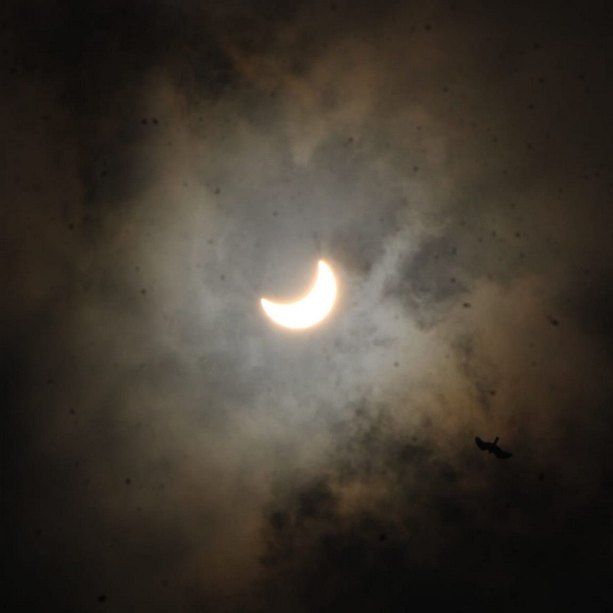 Eclipse In 2021 Date Time Sutak Kal Of Surya Grahan And Chandra Grahan Eclipse 2021 26 à¤®à¤ˆ 2021 à¤• à¤¹ à¤¸ à¤² à¤• à¤ªà¤¹à¤² à¤š à¤¦ à¤°à¤— à¤°à¤¹à¤£ à¤œ à¤¨ à¤ à¤— à¤°à¤¹à¤£ à¤¸ à¤œ à¤¡ à¤¬ à¤¤ Amar Ujala Hindi News Live