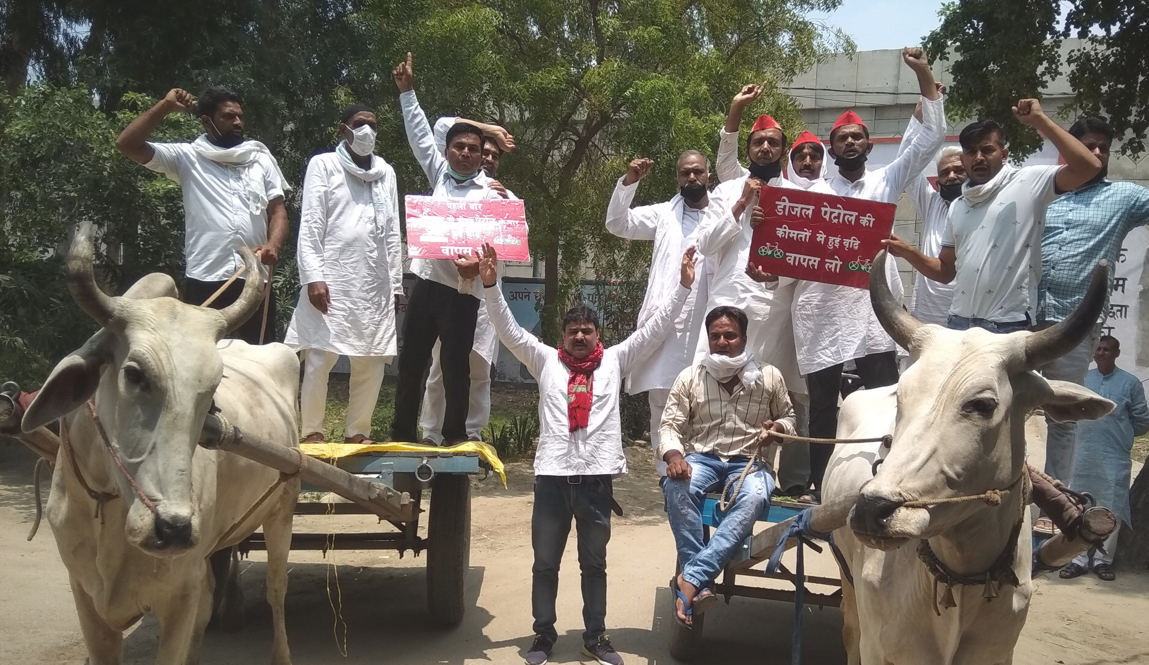 पेट्रोल-डीजल की कीमतों में वृद्धि के विरोध में बैलगाड़ी पर बैठकर प्रदर्शन करते सपा कार्यकर्ता पेट्रोल-डीजल की कीमतों में वृद्धि के विरोध में बैलगाड़ी पर बैठकर प्रदर्शन करते सपा कार्यकर्ता