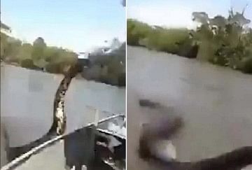 anaconda in hindi anaconda in hindi