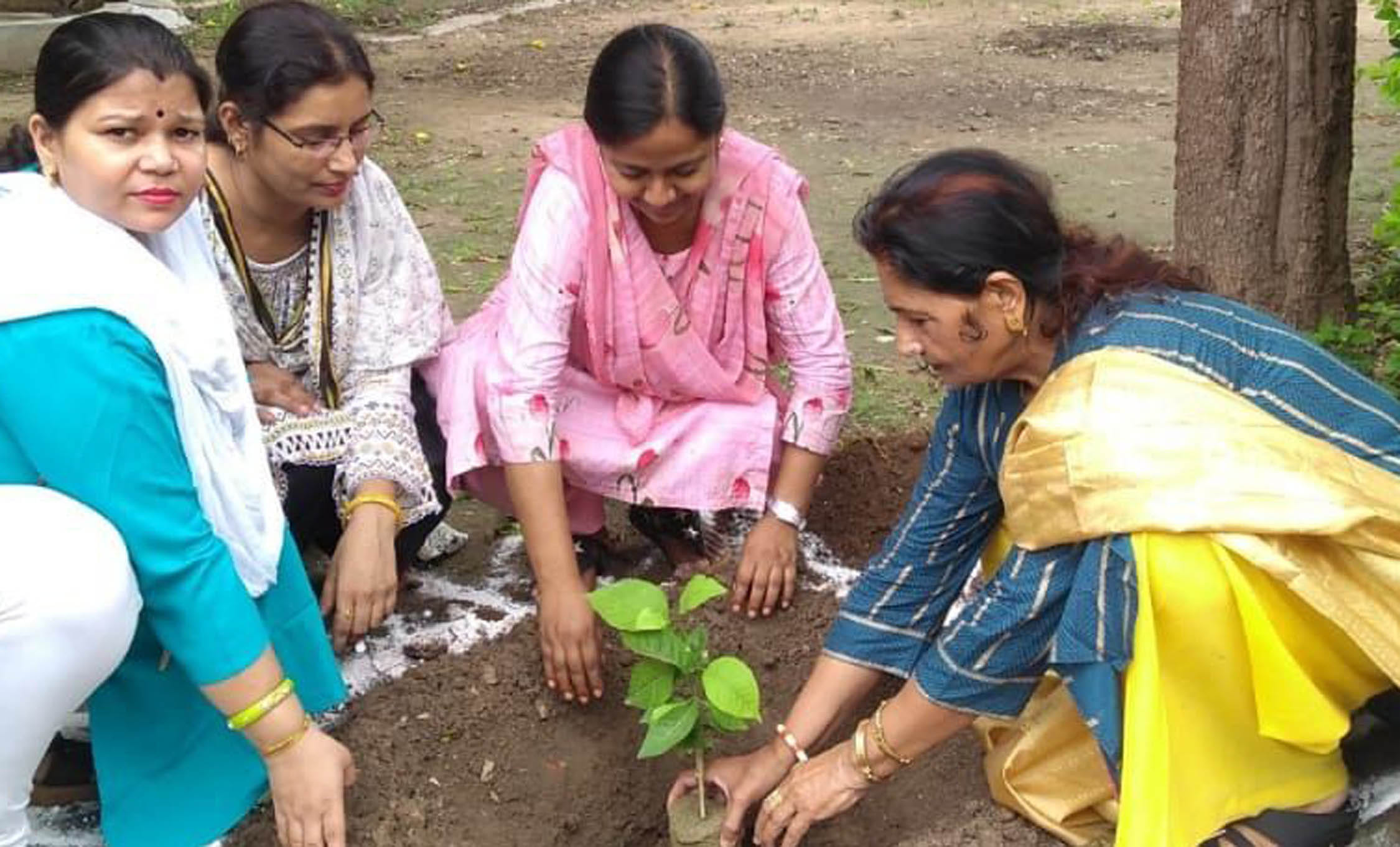 27 departments planted 36.71 lakh plants in one day 27 departments planted 36.71 lakh plants in one day