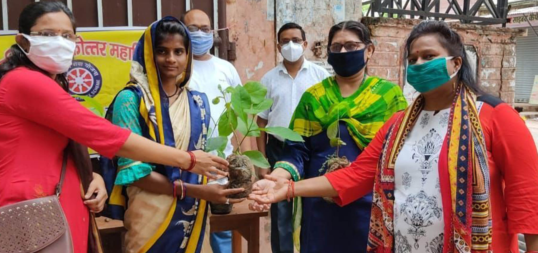 27 departments planted 36.71 lakh plants in one day 27 departments planted 36.71 lakh plants in one day