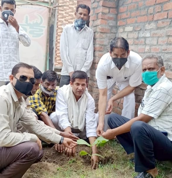 अफजलगढ़ में पौध रोपण करते भाजपा कार्यकर्ता।