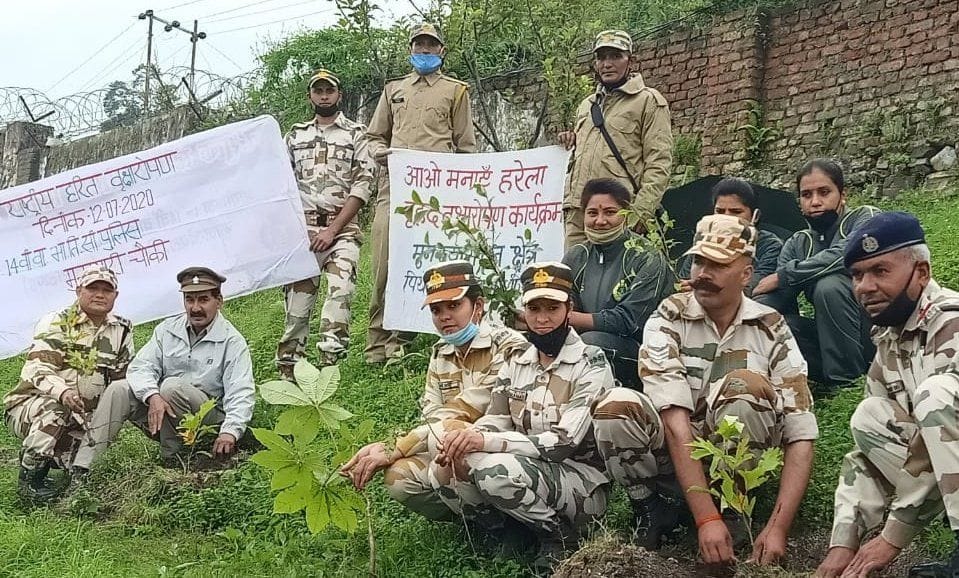 मुनस्यारी में पौधरोपण करते आईटीबीपी जवान। संवाद न्यूज एजेंसी