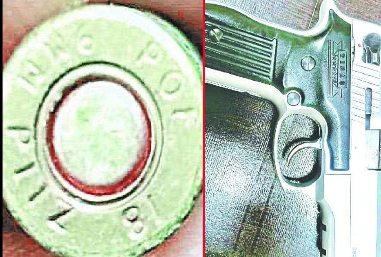 बरामद हथियार और कारतूस।