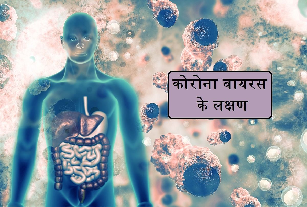 Symptoms Of Covid 19 In Hindi Know All About Coronavirus Symptoms By Health Ministry India Add 11 New Symptom Of Corona Coronavirus Symptoms à¤¸ à¤µ à¤¸ à¤¥ à¤¯ à¤® à¤¤ à¤° à¤²à¤¯ à¤• à¤¬à¤¤ à¤ à¤‡à¤¨ 11 à¤²à¤• à¤·à¤£ à¤¸