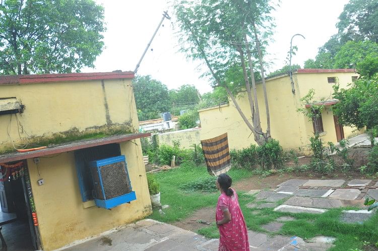 पश्चिम रेलवे कोलोनी में टूटी एक मकानों में जमी कायी। अमर उजाला
