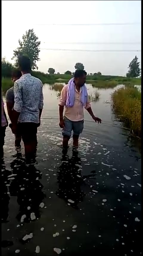 कैराना के गांव अलीपुर में शमशान घाट में भरा फैक्ट्रियो का गंदा पानी कैराना के गांव अलीपुर में शमशान घाट में भरा फैक्ट्रियो का गंदा पानी