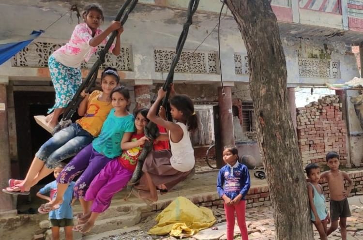 On Nagpanchami, Prosperity Is Sought By Feeding Milk To ...
