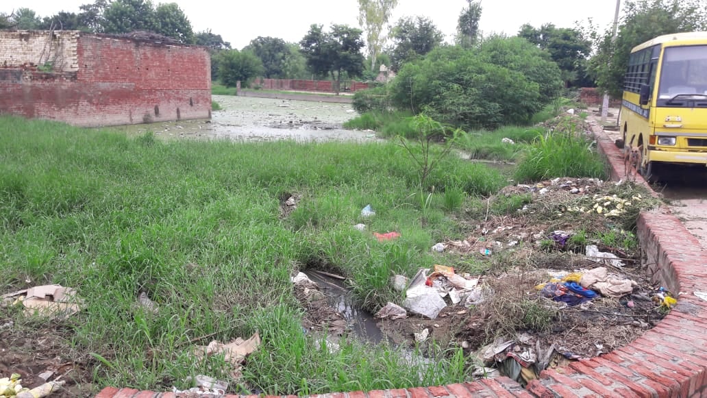 तालाब में डाला गया कूड़ा तालाब में डाला गया कूड़ा
