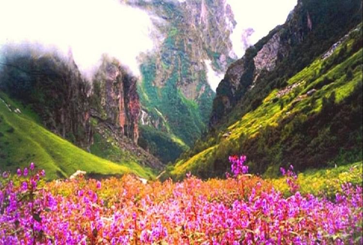 Valley Of Flowers National Park Open For Tourist After Coronavirus Pandemic  Fulo Ki Ghati Uttarakhand Beautiful Places To Visit Explore Stay - अब फूलों  की घाटी का दीदार कर सकेंगे पर्यटक, जानिए