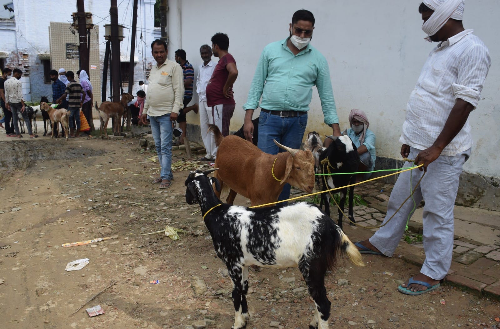 शहर के करबला मैदान में बकरे की खरिदारी करते लोग।