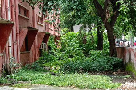 जिला अस्पताल में आवासीय कॉलोनी के पीछे गंदगी के हालात जिला अस्पताल में आवासीय कॉलोनी के पीछे गंदगी के हालात