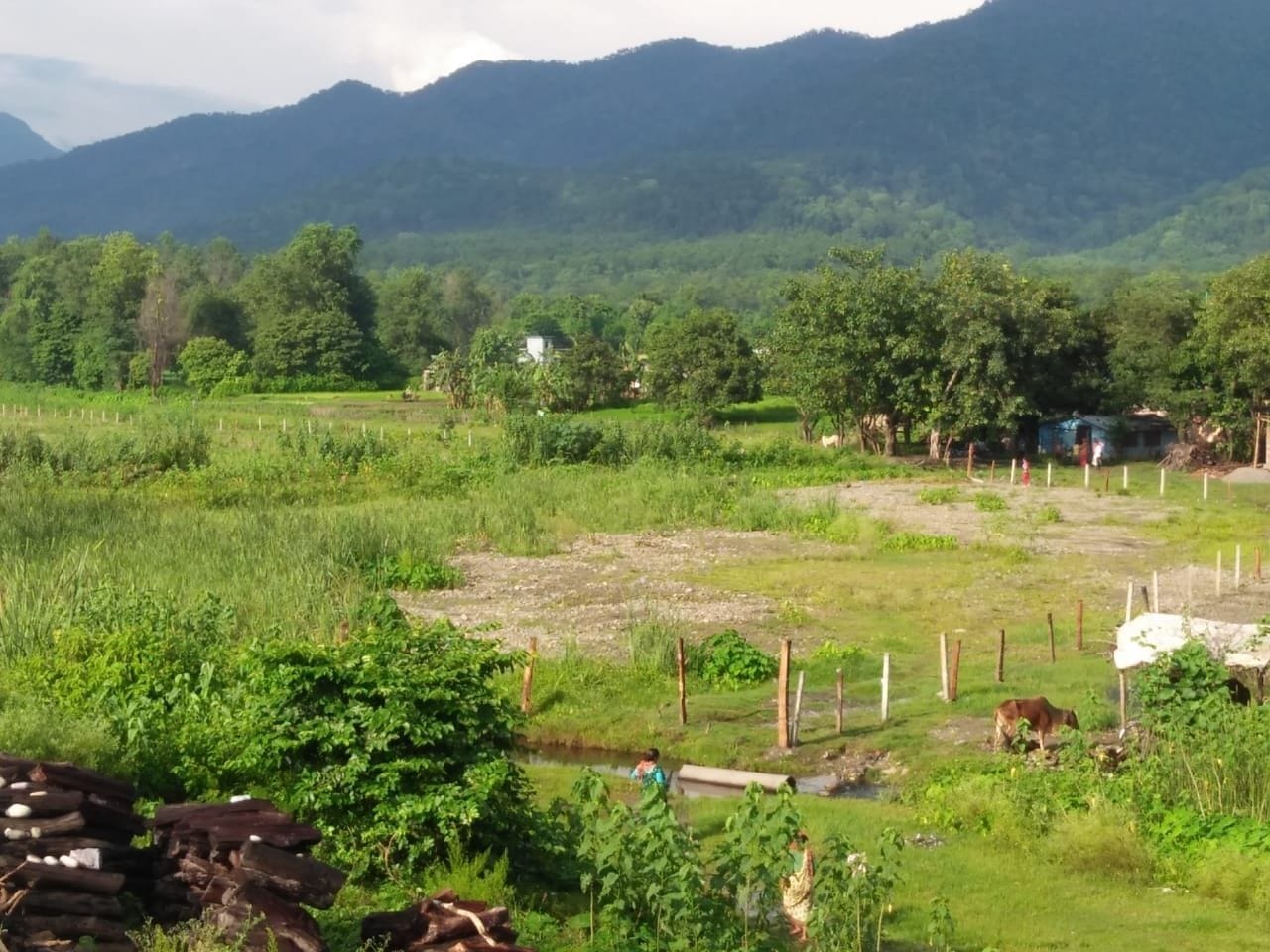 नेपाल सीमा की वह विवादित भूमि जिस पर नेपाल की ओर तारबाड़ लगाकर पौधारोपण किया गया है। नेपाल सीमा की वह विवादित भूमि जिस पर नेपाल की ओर तारबाड़ लगाकर पौधारोपण किया गया है।