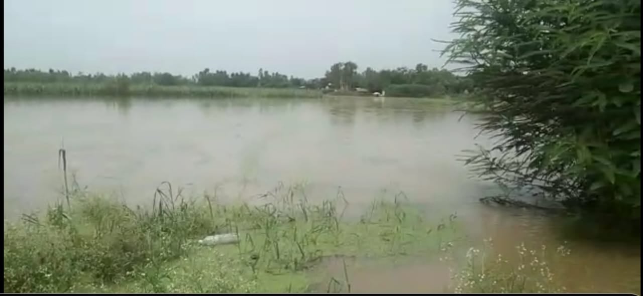 चिलकाना के गांव नथमलपुर में घुसा दूसरे गांव का पानी चिलकाना के गांव नथमलपुर में घुसा दूसरे गांव का पानी