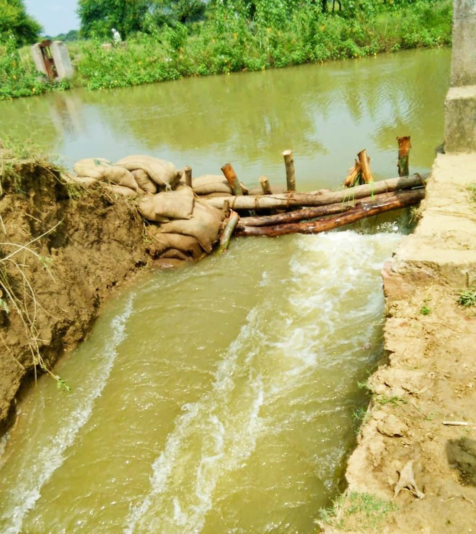 हर कटान से खेतों की तरफ भर रहा पानी। हर कटान से खेतों की तरफ भर रहा पानी।
