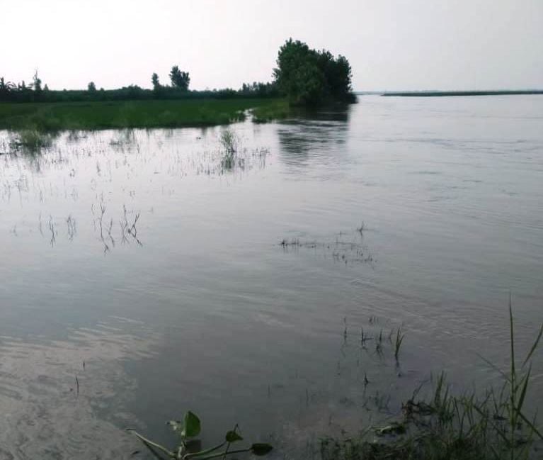 गंगा का बढा जल स्तर। गंगा का बढा जल स्तर।