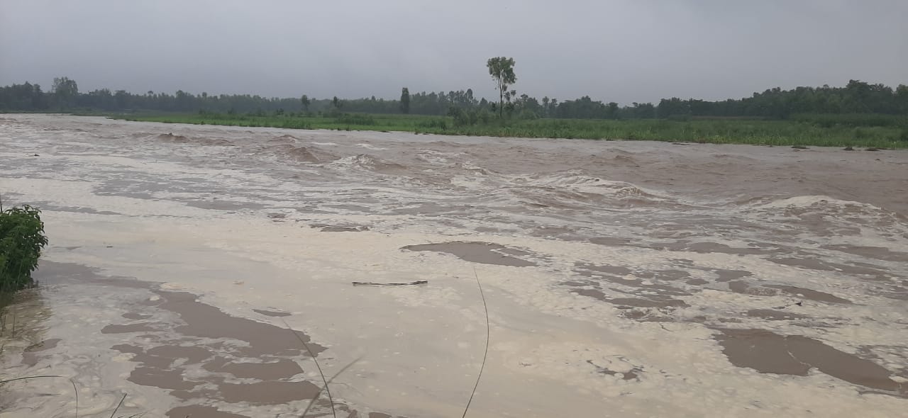 बेहट क्षेत्र में मशकरा नदी में आया पानी का उफान। बेहट क्षेत्र में मशकरा नदी में आया पानी का उफान।