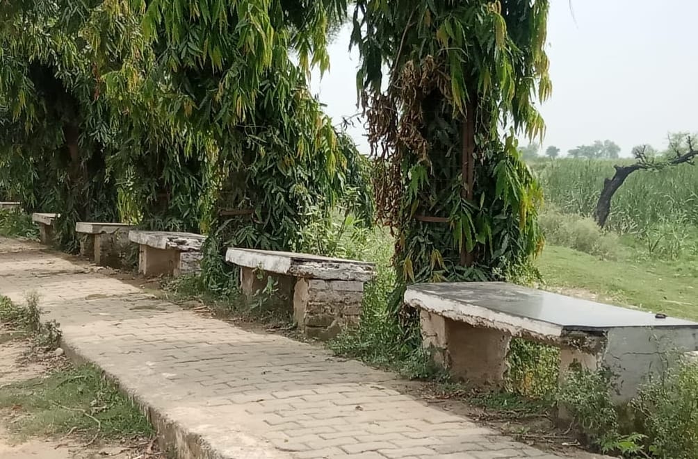 बिजनौर में विदुर कुटी पर बिजली के टूटे फैंसी लाइट। बिजनौर में विदुर कुटी पर बिजली के टूटे फैंसी लाइट।