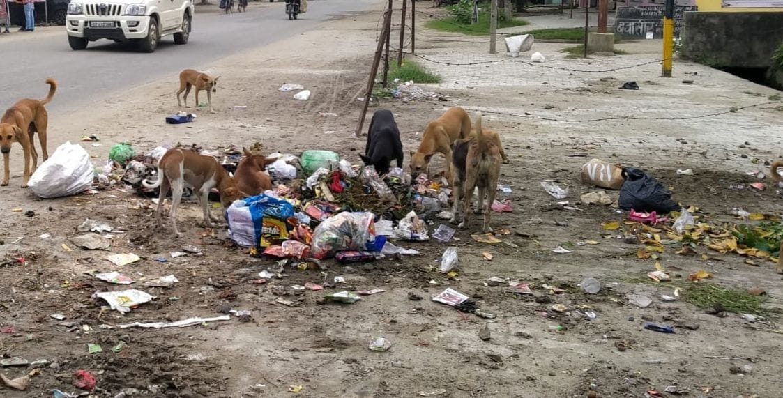 धामपुर में कालागढ़ मार्ग पर लगे गंदगी के ढेर