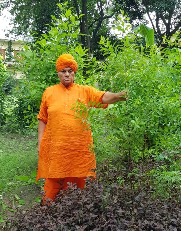 बिजनौर के गंज में चंदन का पेड़ दिखाते पूर्व राज्यमंत्री स्वामी ओमवेश। बिजनौर के गंज में चंदन का पेड़ दिखाते पूर्व राज्यमंत्री स्वामी ओमवेश।