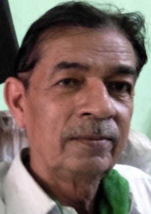 अधिवक्ता सैय्यद अली मंजर।