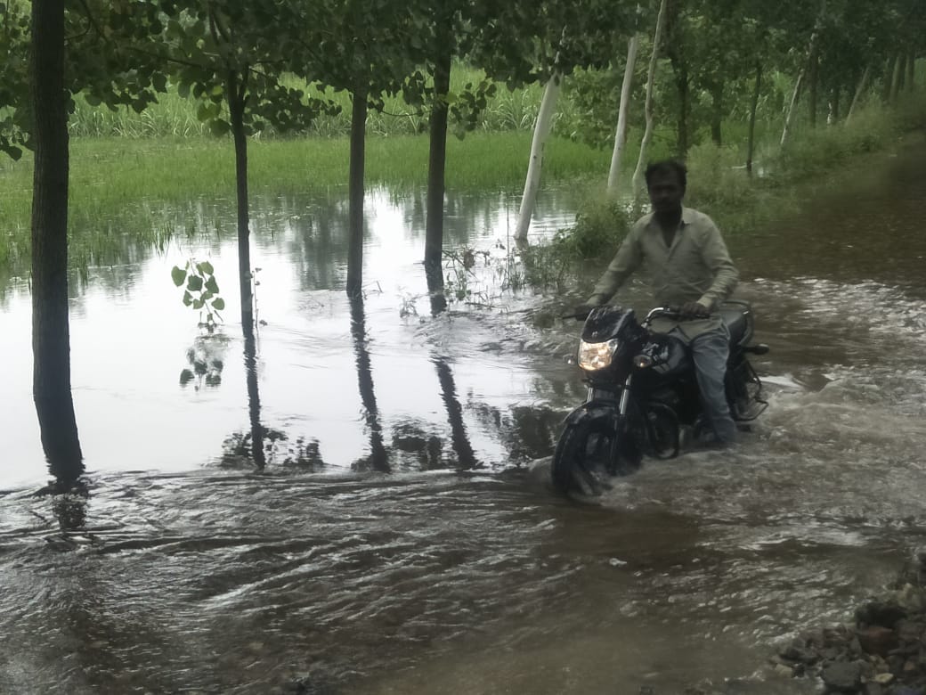 यमुना के तटवर्ती गांव में खेतों पर जमा पानी से गुजरता बाइक सवार यमुना के तटवर्ती गांव में खेतों पर जमा पानी से गुजरता बाइक सवार