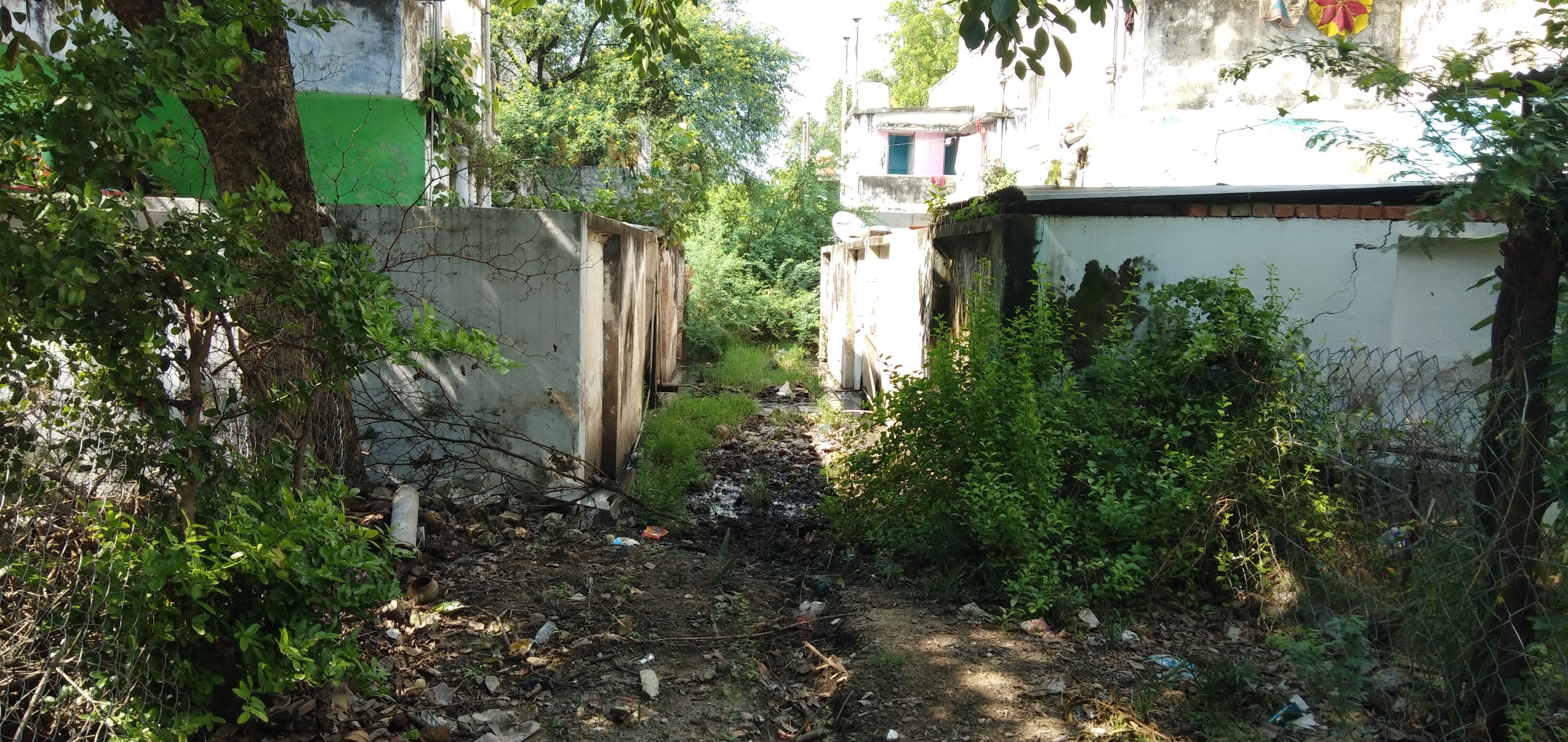 ऑफिसर कॉलोनी के डी ब्लॉक के पास गंदगी