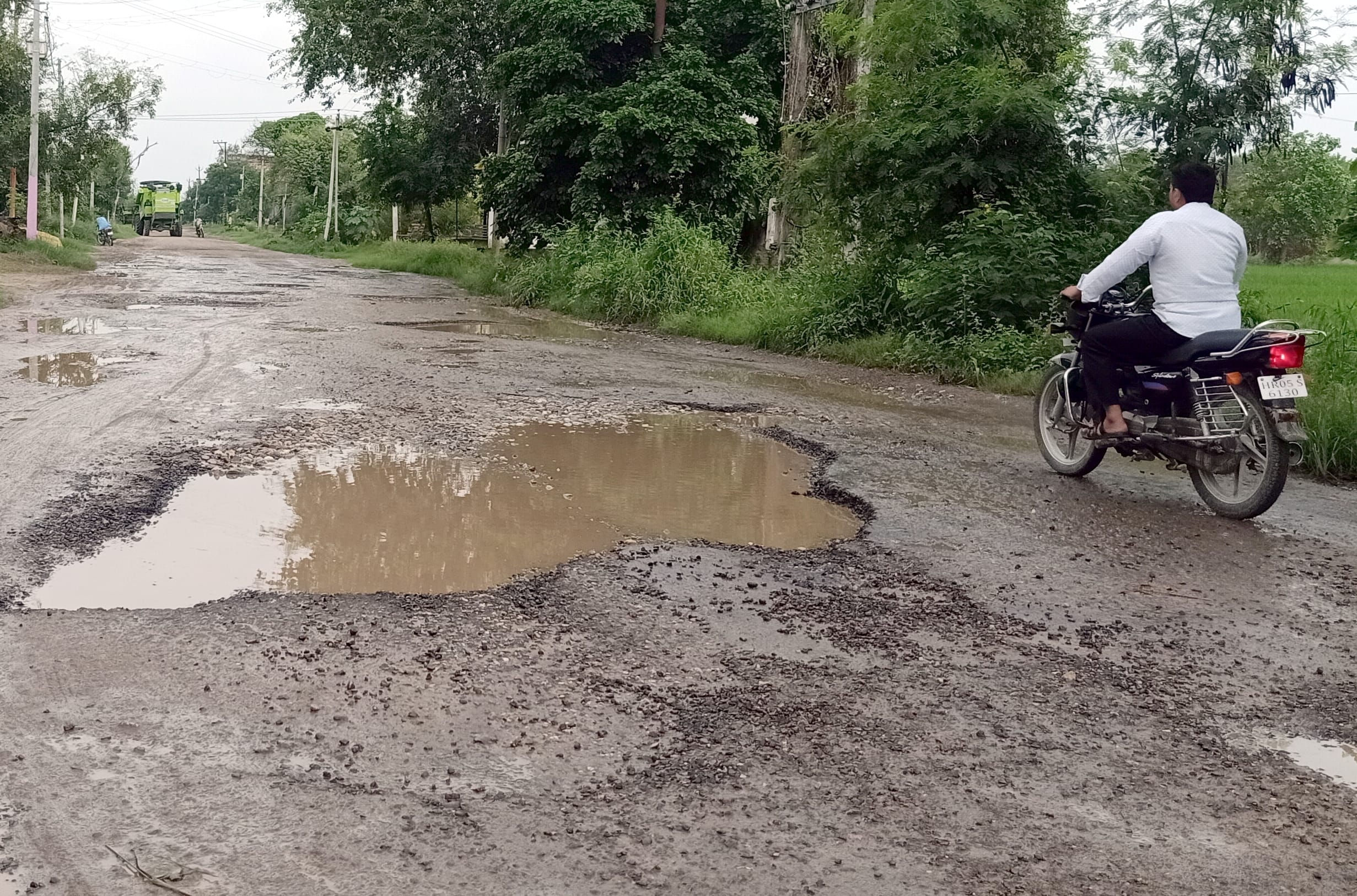 बिडौली-चौसाना मार्ग की बदहाल  हालत।