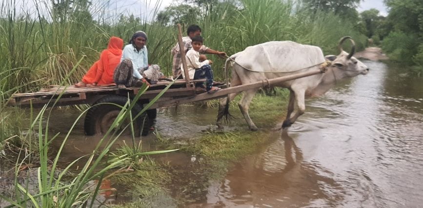 गांव जीवनपुरी में जंगलों से चारा लेने जाता किसान गांव जीवनपुरी में जंगलों से चारा लेने जाता किसान