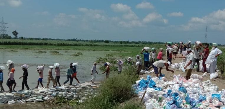 तटबंध को ठीक करने में लगे नरेगा के मजदूर। तटबंध को ठीक करने में लगे नरेगा के मजदूर।