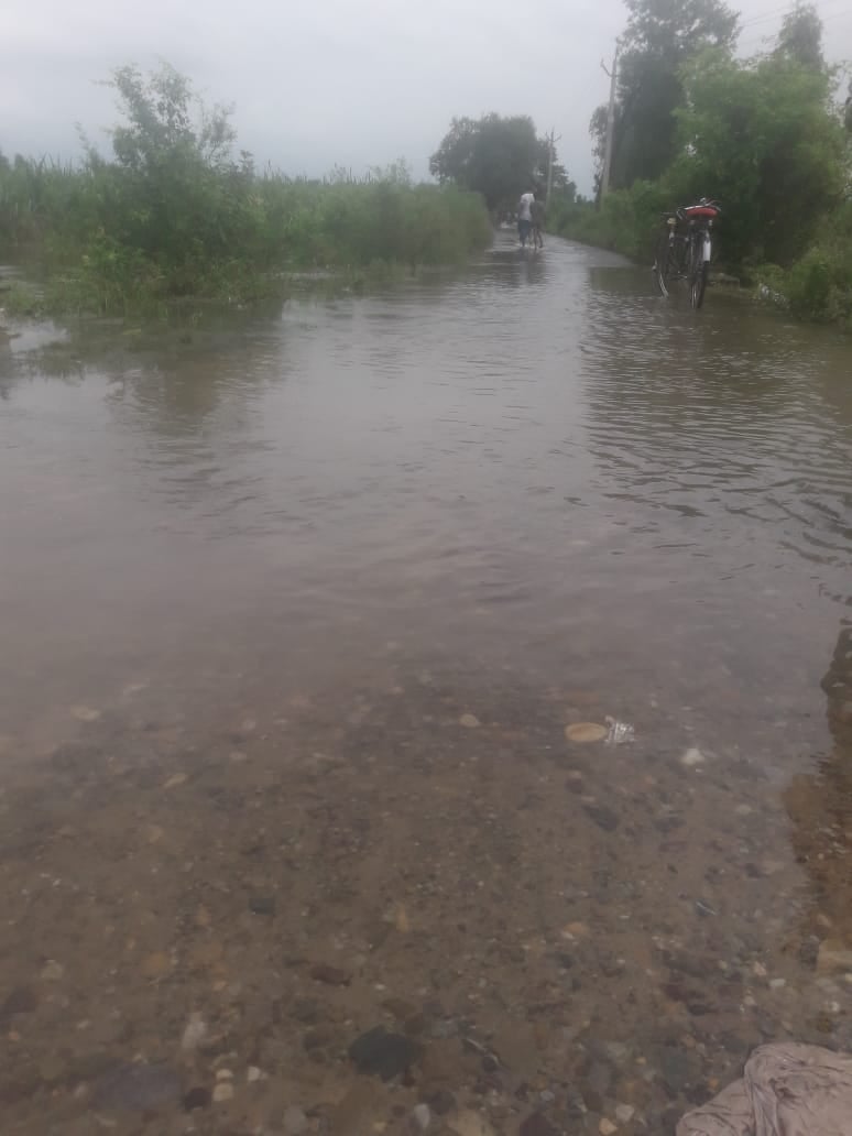 धामपुर के गांव घोसियोवाला में संपर्क मार्ग पर जमा पानी। धामपुर के गांव घोसियोवाला में संपर्क मार्ग पर जमा पानी।