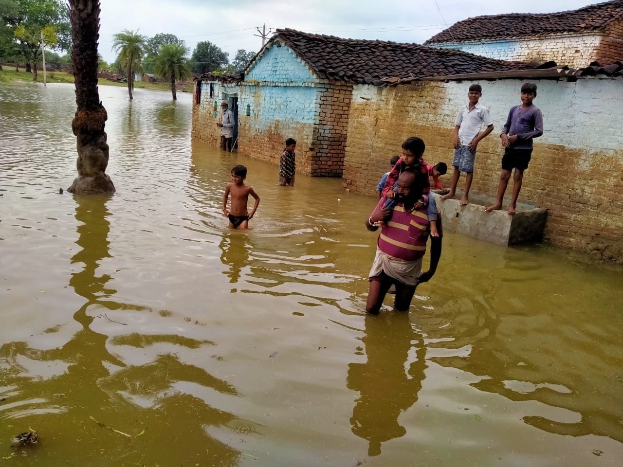 झांसी जिले की गरौठा तहसील क्षेत्र के बुढ़ाई गांव में भर गया पानी। झांसी जिले की गरौठा तहसील क्षेत्र के बुढ़ाई गांव में भर गया पानी।