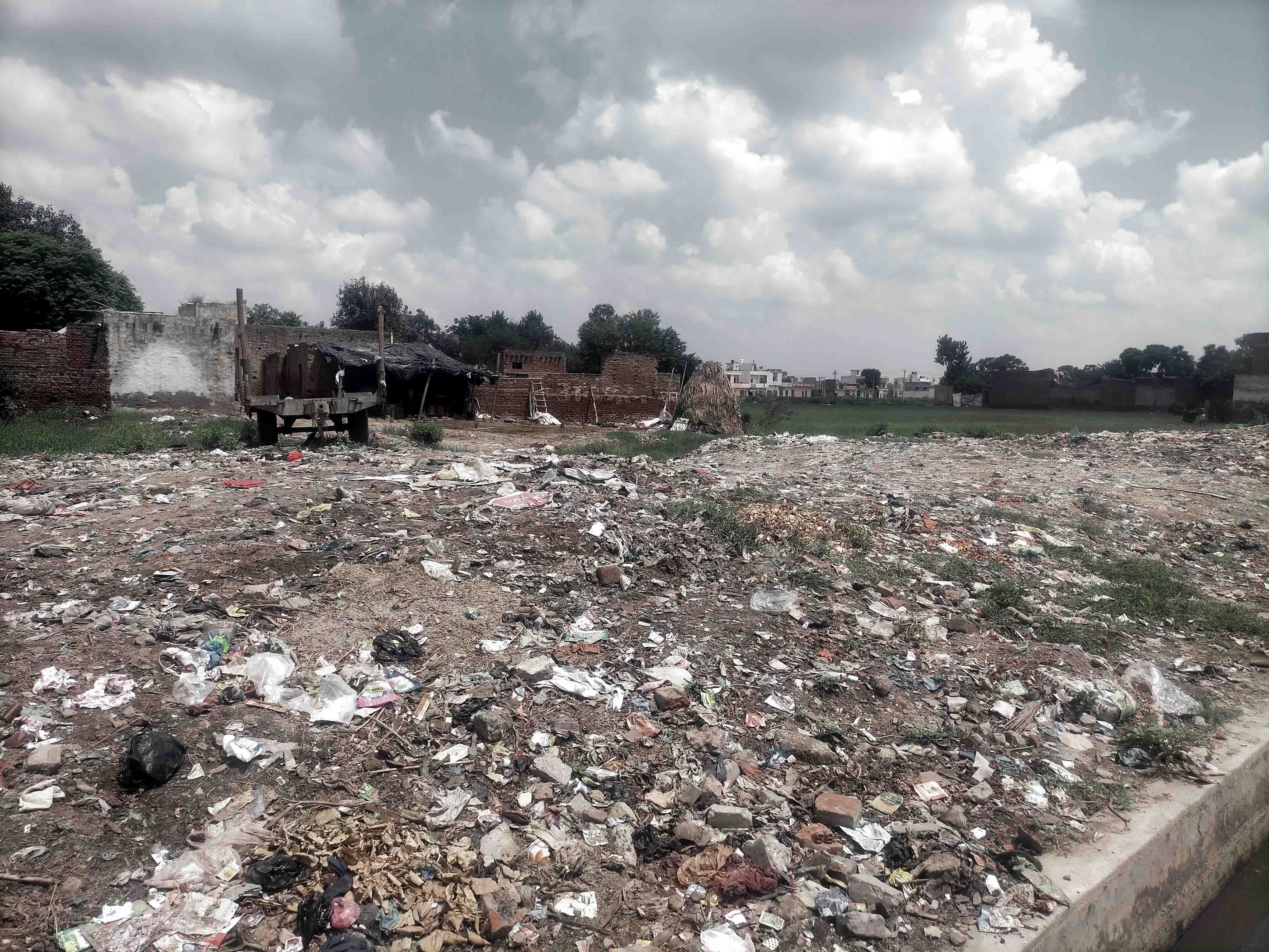 कैराना कोतवाली के बराबर में मायापुर रोड पर तालाब में फैली गंदगी कैराना कोतवाली के बराबर में मायापुर रोड पर तालाब में फैली गंदगी