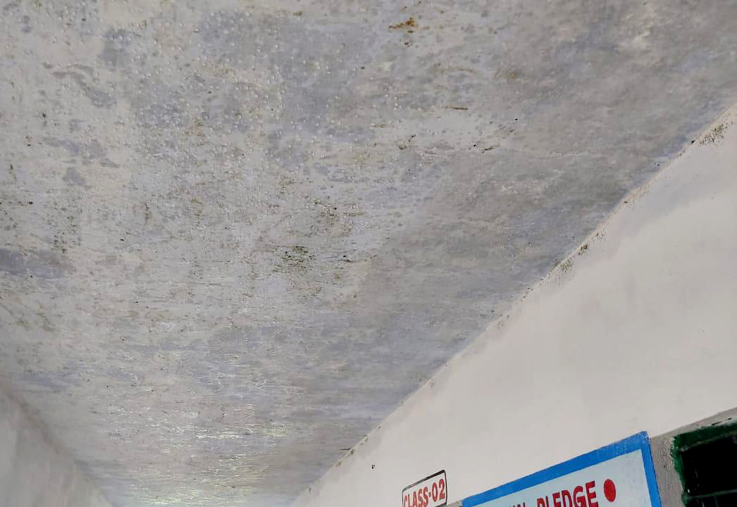 ग्राम कारीटोरन मे प्राइमरी इग्लिंश मीडियम स्कूल छत टपक रहा पानी ग्राम कारीटोरन मे प्राइमरी इग्लिंश मीडियम स्कूल छत टपक रहा पानी