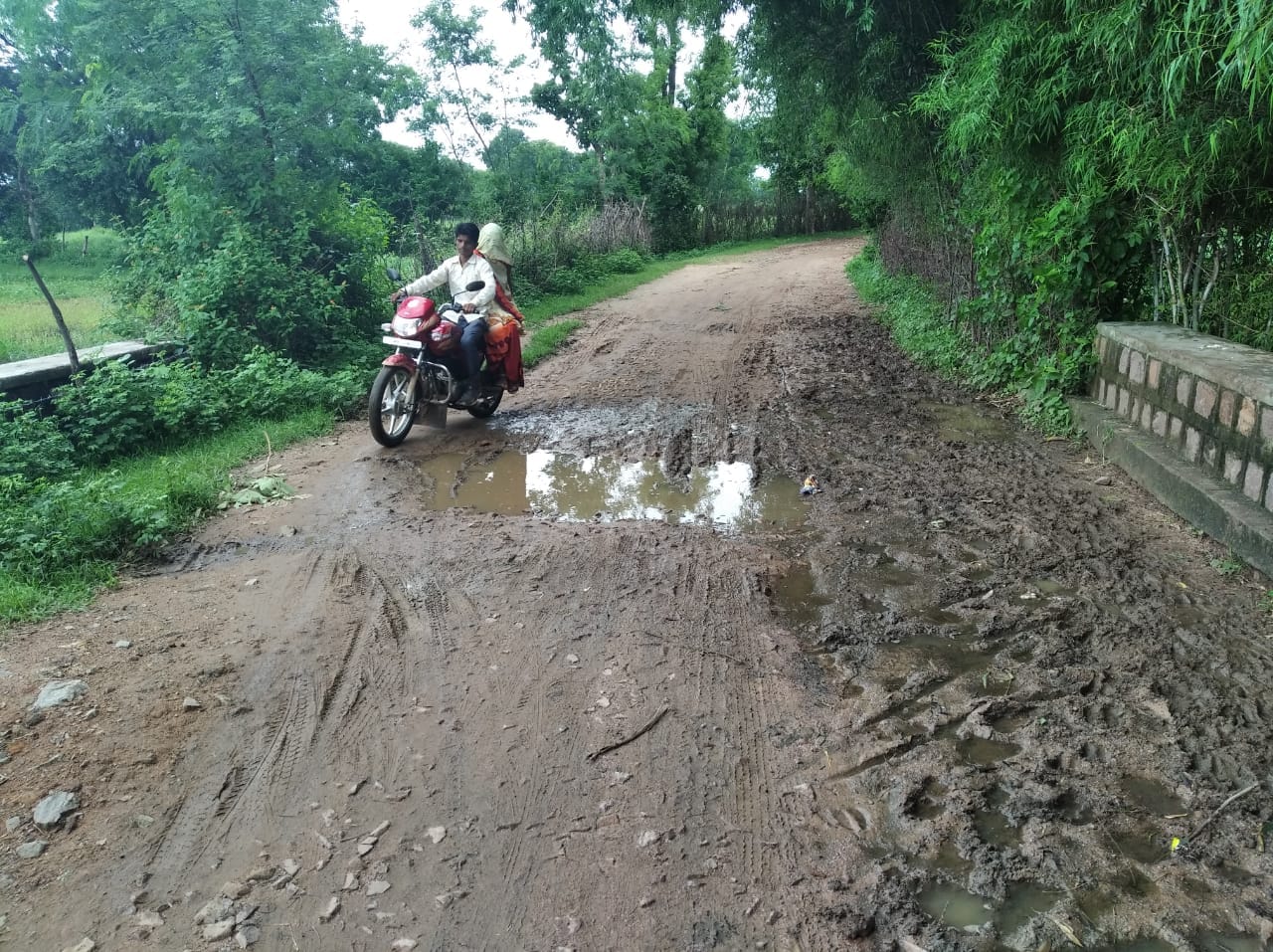 ग्राम लड़वारी के मजरा नीमखेरा की कच्ची सड़क पर हुआ कीचड़ ग्राम लड़वारी के मजरा नीमखेरा की कच्ची सड़क पर हुआ कीचड़