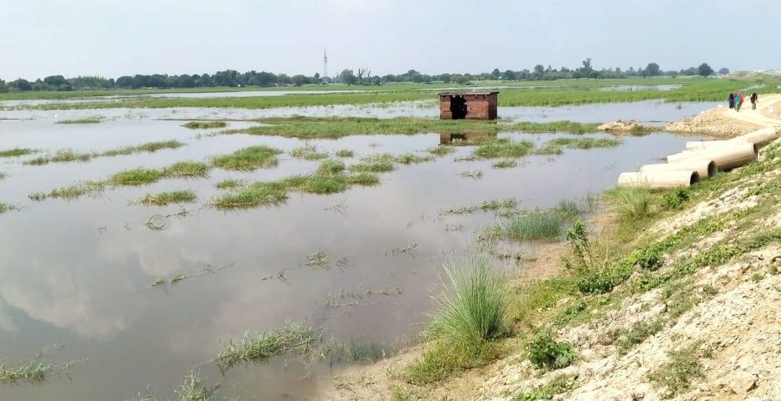 सठियांव मिल से निकलने वाले केमिकल युक्त पानी आस-पास के खेती की जमीन में फैला। सठियांव मिल से निकलने वाले केमिकल युक्त पानी आस-पास के खेती की जमीन में फैला।