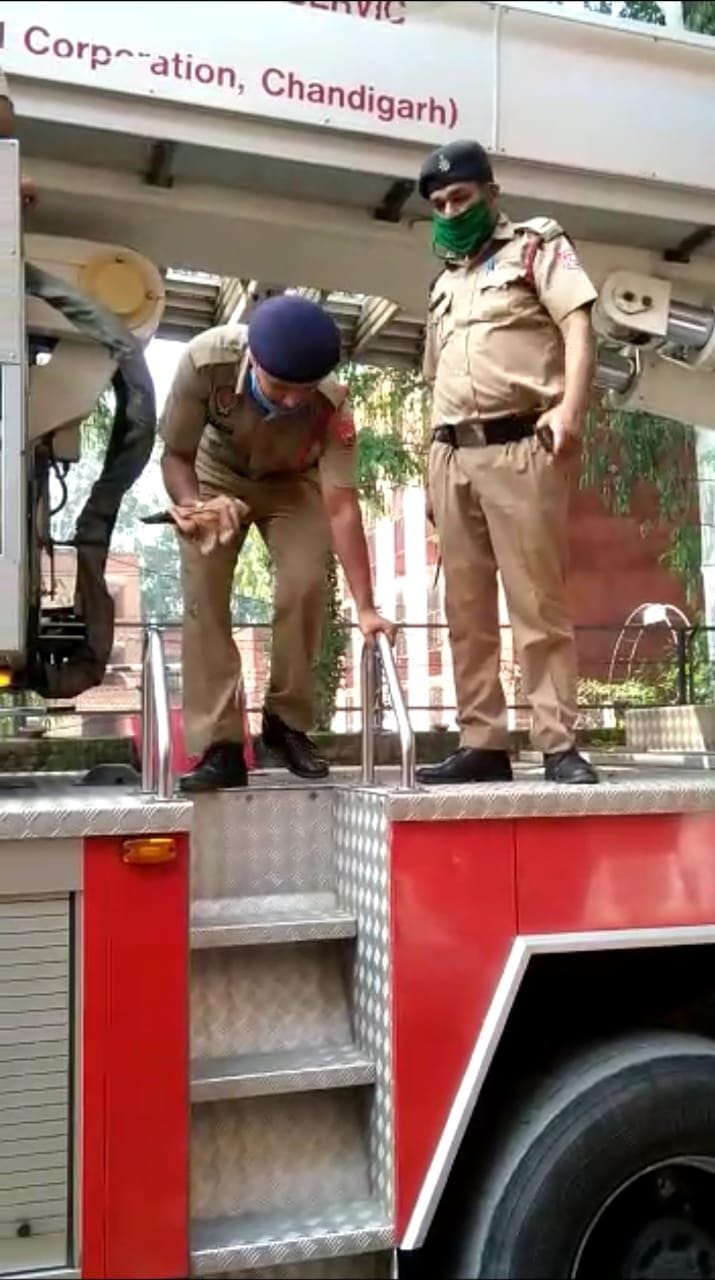 70 फुट ऊंचे पेड़ की टहनियों में डोर से फंसे कौआ की फायरकर्मियों ने बचाई जान, कौआ को डोर से अलग कर नीच 70 फुट ऊंचे पेड़ की टहनियों में डोर से फंसे कौआ की फायरकर्मियों ने बचाई जान, कौआ को डोर से अलग कर नीच