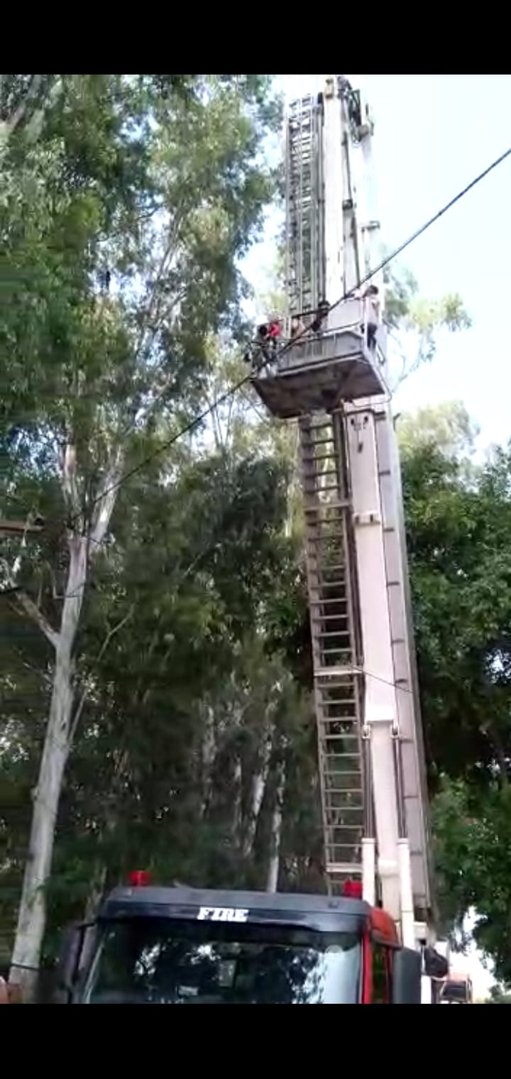 70 फुट ऊंचे पेड़ की टहनियों में डोर से फंसे कौआ की फायरकर्मियों ने बचाई जान कौआ को निकलने की कोशिश क 70 फुट ऊंचे पेड़ की टहनियों में डोर से फंसे कौआ की फायरकर्मियों ने बचाई जान कौआ को निकलने की कोशिश क
