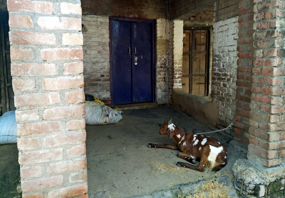 आरोपी युवक के घर के बाहर लटका ताला। आरोपी युवक के घर के बाहर लटका ताला।