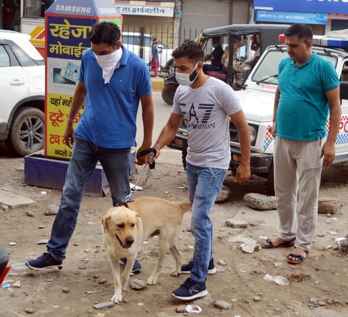 मोबाइल शॉप पर चोरी की घटना के बाद जांच के लिए पहुंची डॉग स्क्वायड टीम। संवाद न्यूज एजेंसी मोबाइल शॉप पर चोरी की घटना के बाद जांच के लिए पहुंची डॉग स्क्वायड टीम। संवाद न्यूज एजेंसी