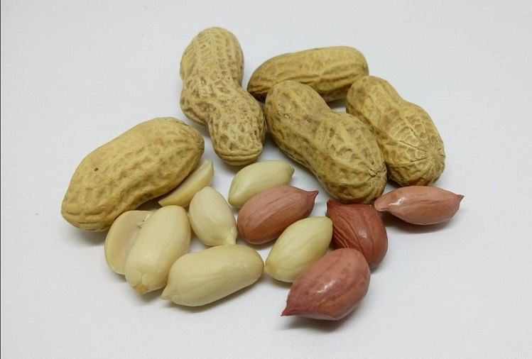 soaked-peanuts-health-benefits-and-uses-in-hindi-home-remedies-of