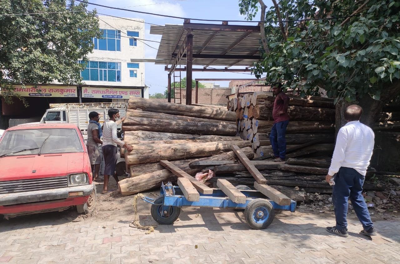 काठमंडी में सरकारी जमीन पर रखी लकड़ियों को उठवाते दुकानदार। काठमंडी में सरकारी जमीन पर रखी लकड़ियों को उठवाते दुकानदार।