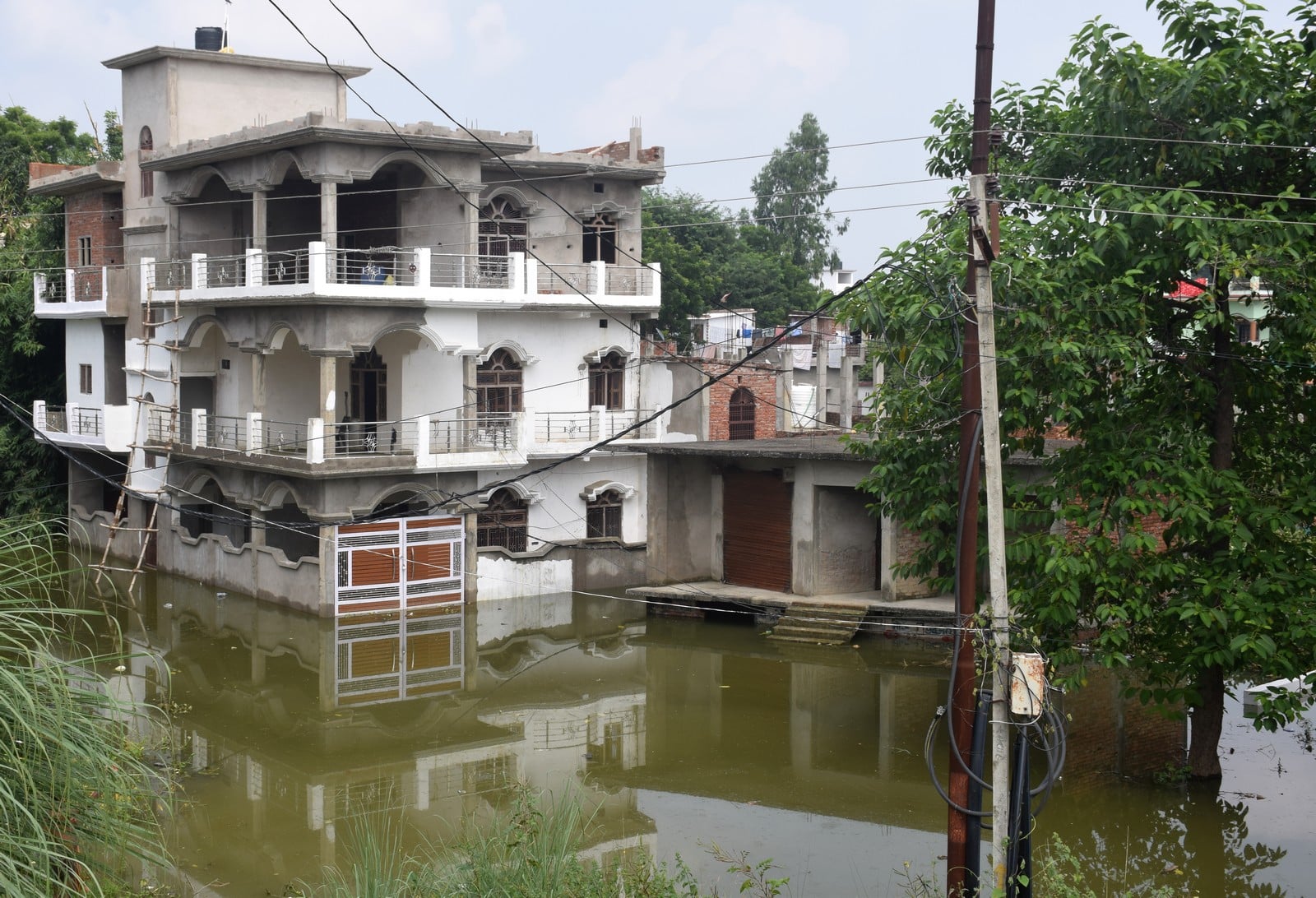 शहर के बगेश्वर नगर कालोनी में बारिश के पानी में घिरे घर। शहर के बगेश्वर नगर कालोनी में बारिश के पानी में घिरे घर।