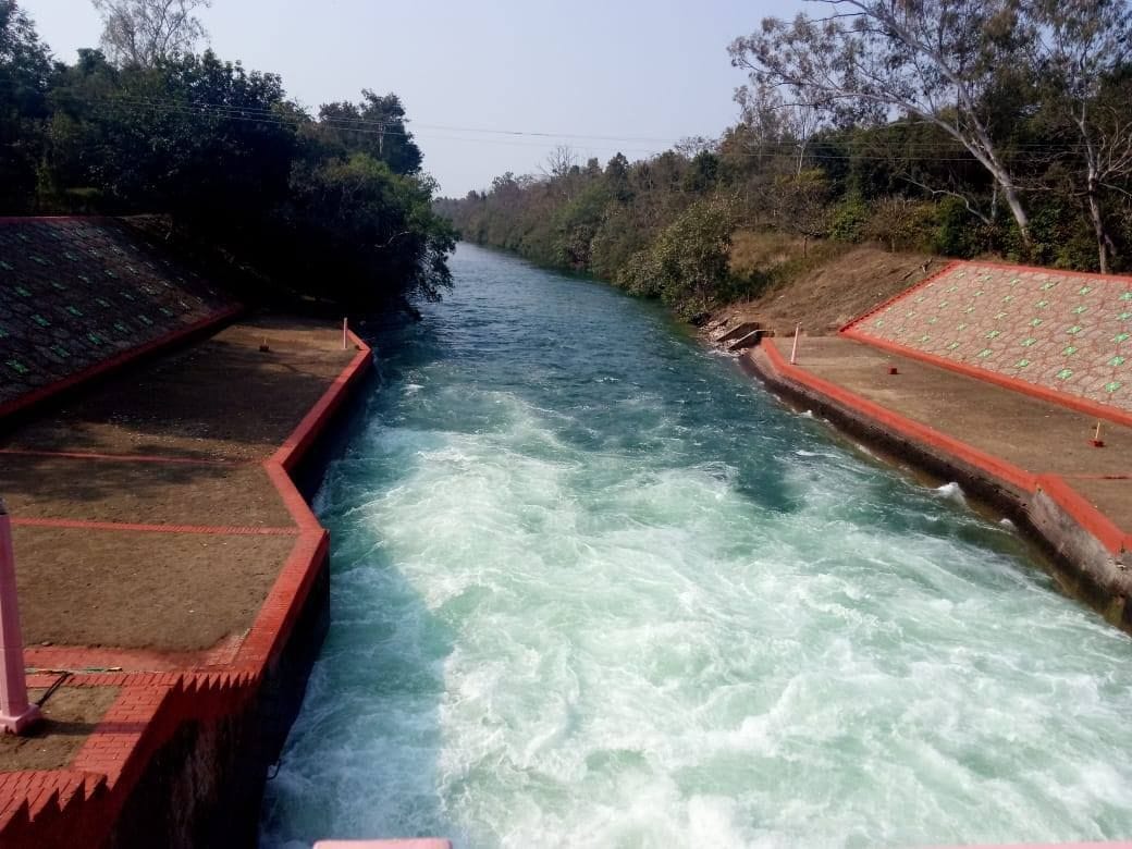 बाइफरकेशन का खूबसूरत नजारा। बाइफरकेशन का खूबसूरत नजारा।