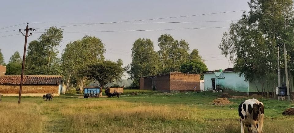 जहानाबाद के गांव परेवा वैश्य में इस तरह गुजर रहे जर्जर तार। जहानाबाद के गांव परेवा वैश्य में इस तरह गुजर रहे जर्जर तार।