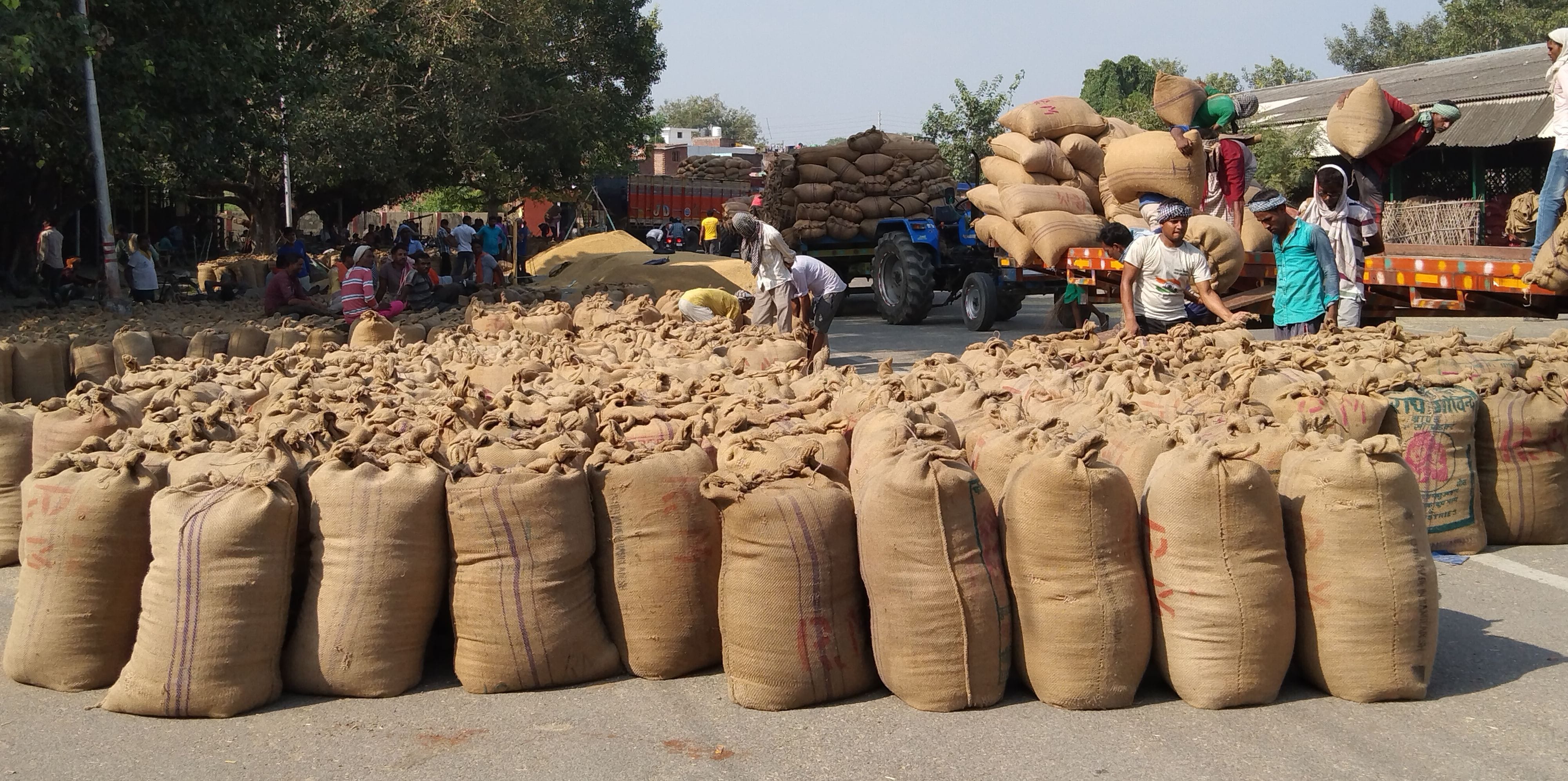 Dhan Kharid - धान खरीद के पहले दिन सरकारी क्रय केंद्र रहे सूने, आढ़तें  गुलजार - Pilibhit News