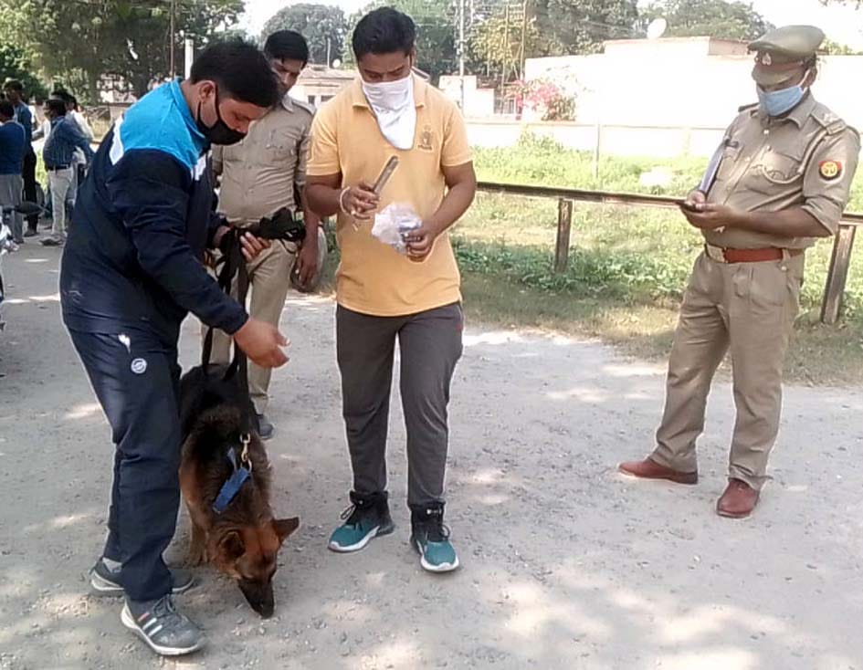 सुराग लगाता कुत्ता पेलवेल। संवाद